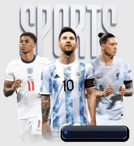 世界杯 APP